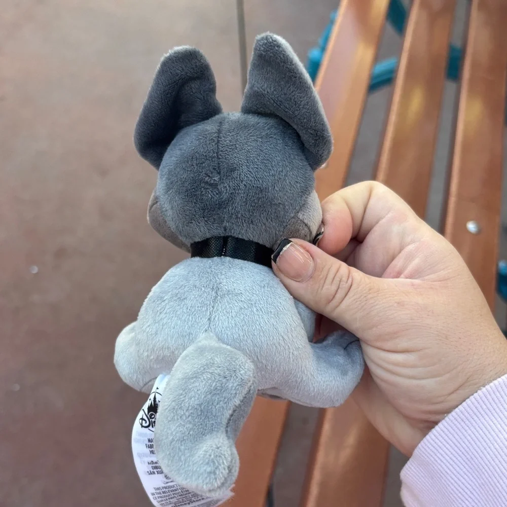 Disney disneyland park